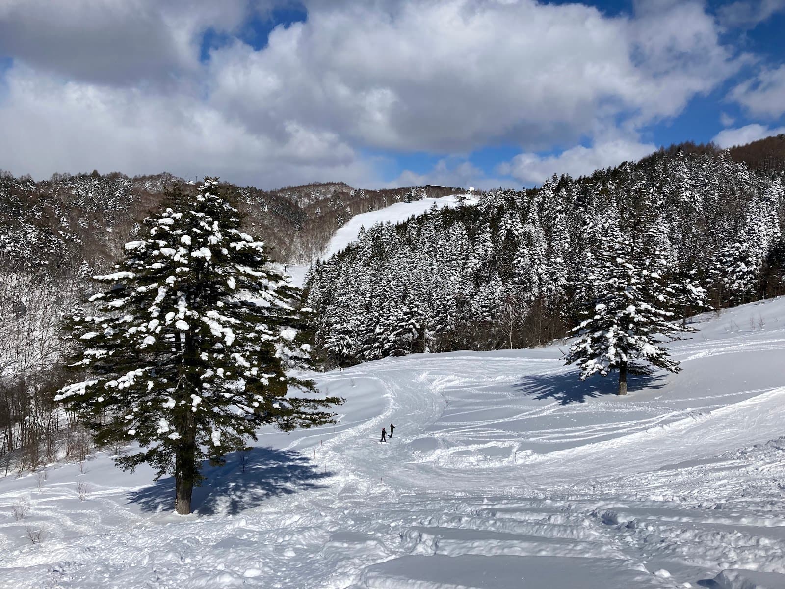飛騨高山スキー場