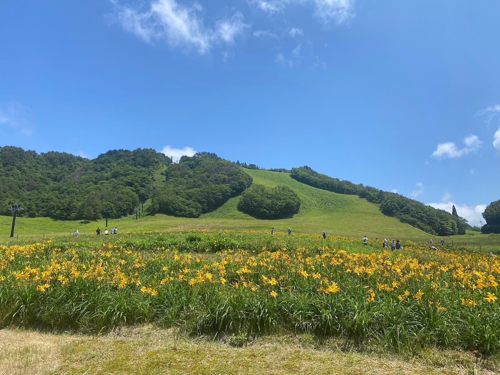 恩原高原スキー場