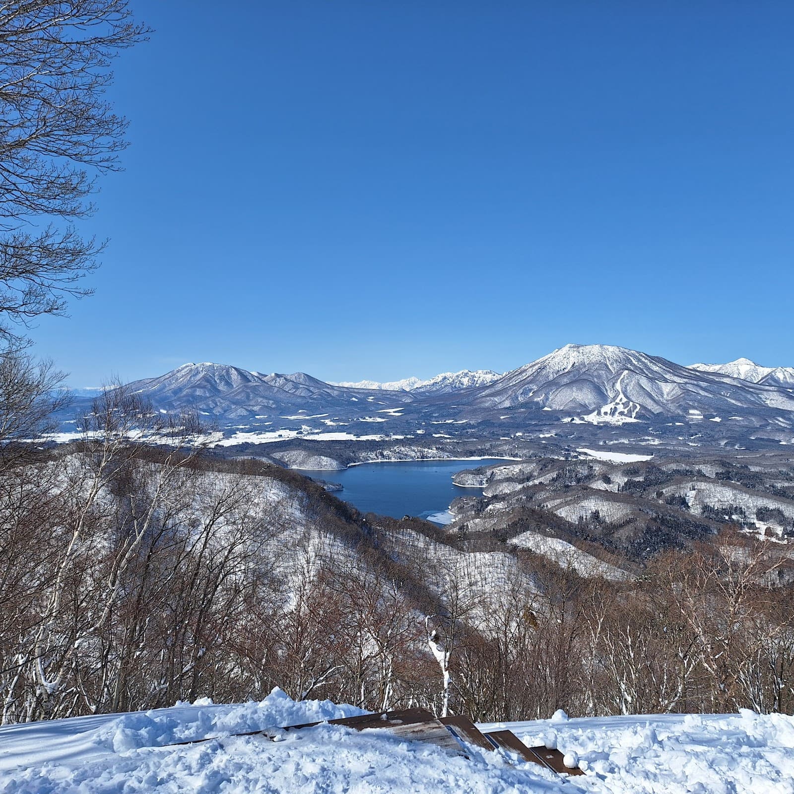 タングラムスキーサーカス