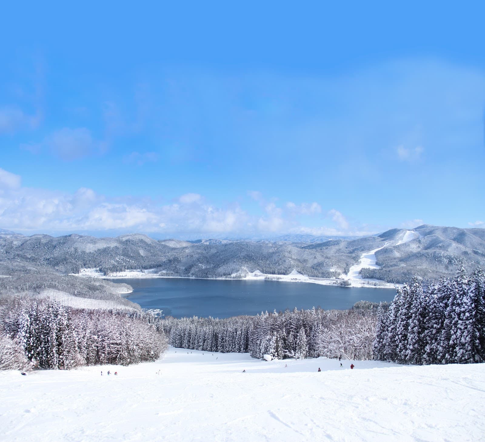 White Resort 白馬さのさか