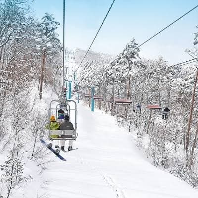 やわたハイランド191リゾート